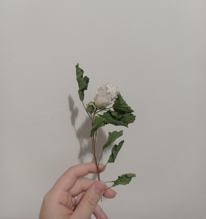 Do you believe in the existence of true love?
