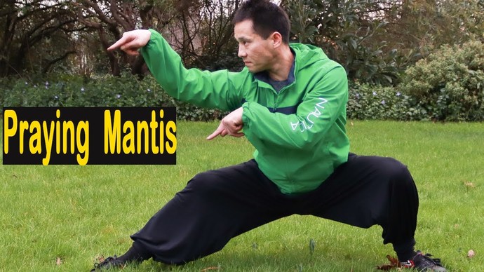 Whats your favorite animal Kung Fu style?