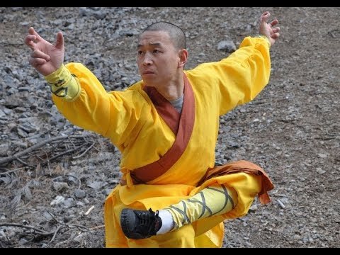 Whats your favorite animal Kung Fu style?