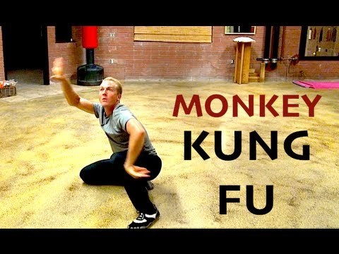 Whats your favorite animal Kung Fu style?