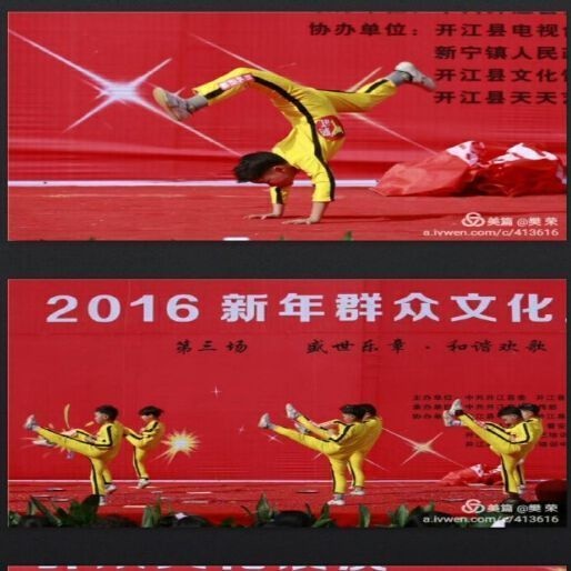 Whats your favorite imitative Kung Fu style?