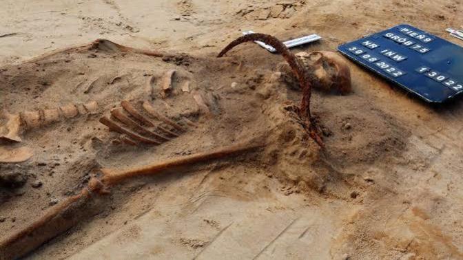 Do you know the reason why these skeletons look the way they do?
