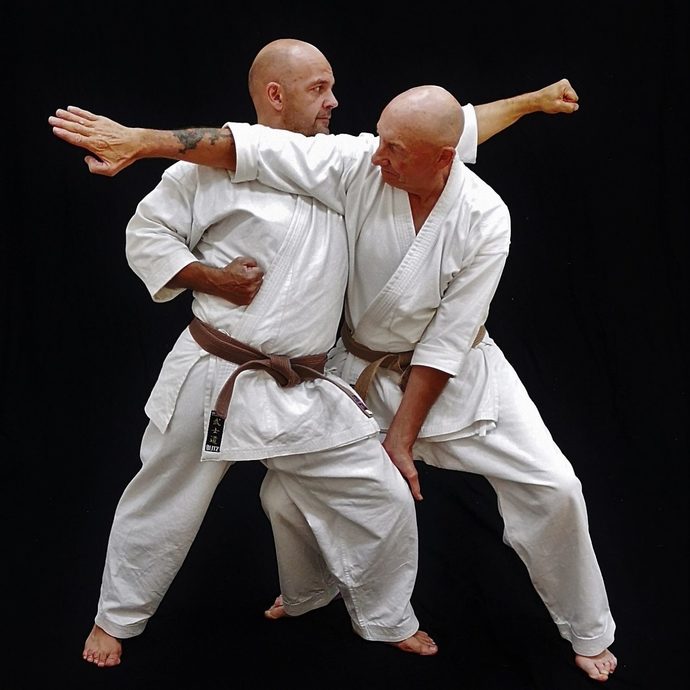 Whats your favorite style of Karate?