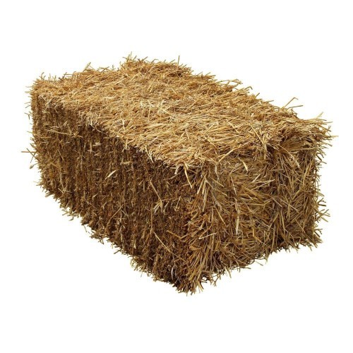 Whats your favourite type of STRAW?