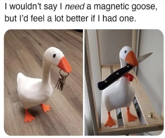 Have u ever honked at a goose before?