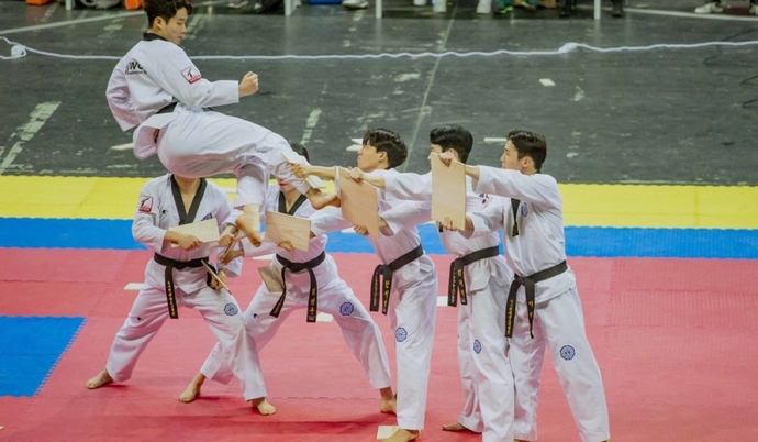 Whats your favorite style of Taekwondo?