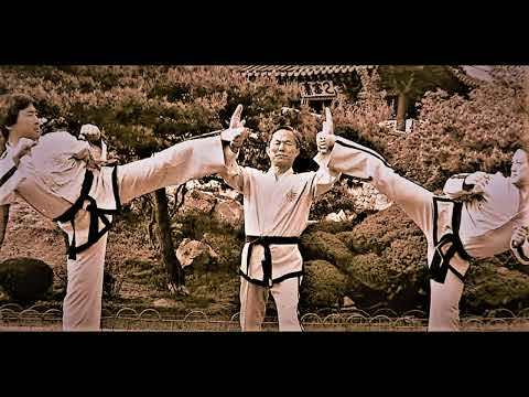 Whats your favorite style of Taekwondo?