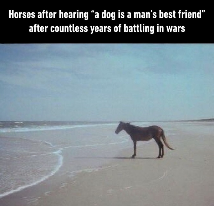 Don’t you feel bad for horses 🐎🐴?