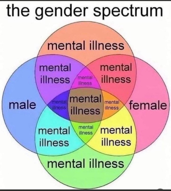 Do you believe trans individuals are actually born into the wrong body?