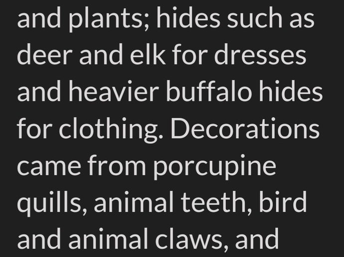 The American Indians clothing