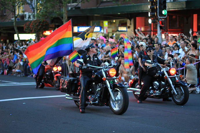 Do Lesbians make better war fighters, first responders and construction techs, etc. than ordinary women?