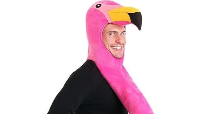 Is a flamingo costume fit for a Summer or Winter theme party? Cause my parents don't think so?
