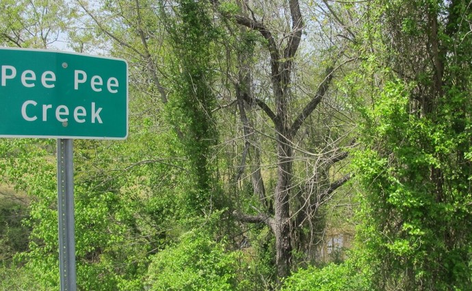 Would YOU take this road trip?