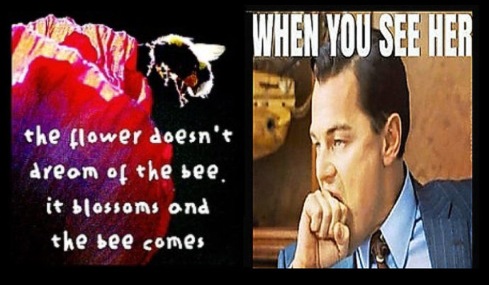 What is the first thing that draws your attention to the opposite sex?