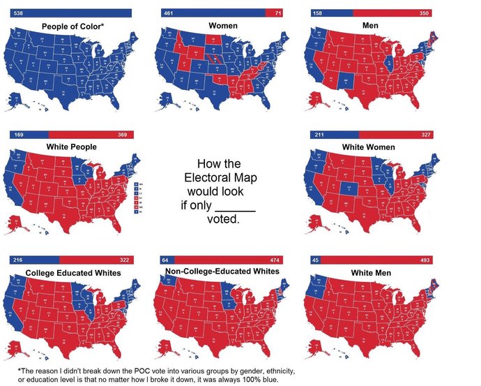 This Is How The Electoral Map Would Look Like If Only Specific Demographic Groups Were Able To Vote. Thoughts?