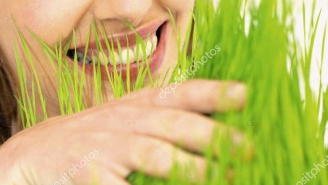 Do you like to touch and feel grass?