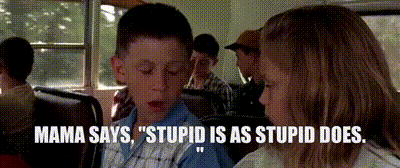 Are you stupid?