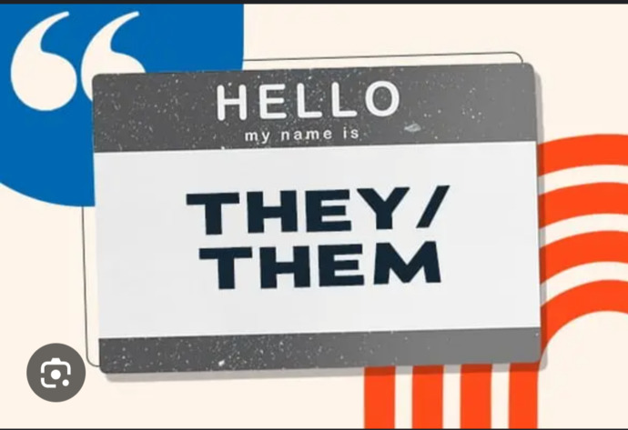 Which is more important to you: gender neutral pronouns with Kamala Harris or safety and security with Donald Trump?