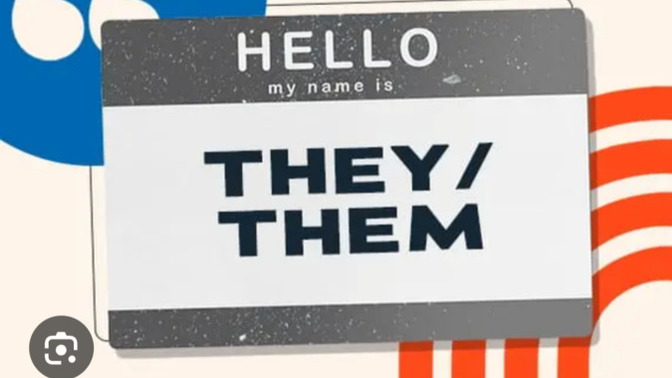 Which is more important to you: gender neutral pronouns with Kamala Harris or safety and security with Donald Trump?