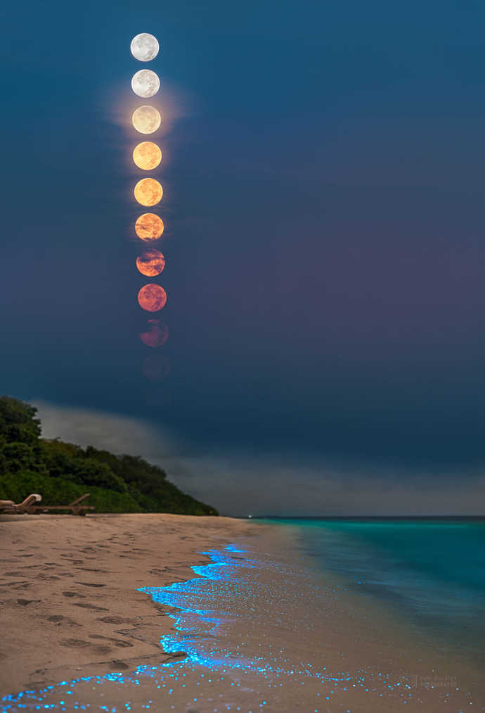 Full plankton moon