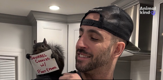 Social media star Peanut the Squirrel has been euthanized after being seized from NY home: What kind of sick, twisted people would do this ?