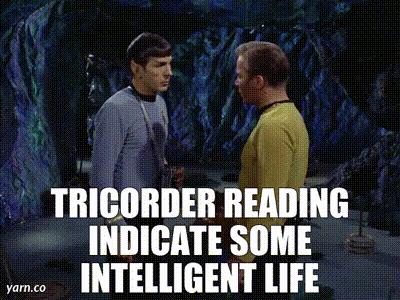 If you saw a group of uniformed individuals just materialize in front of you out of nowhere what would you think?