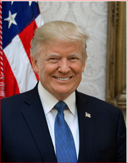 Who did you vote for in the November 5 American elections?