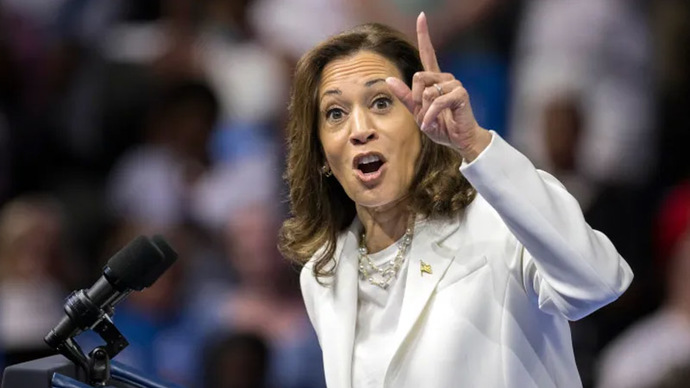 What will Kamala Harris do once she is no longer vice president?