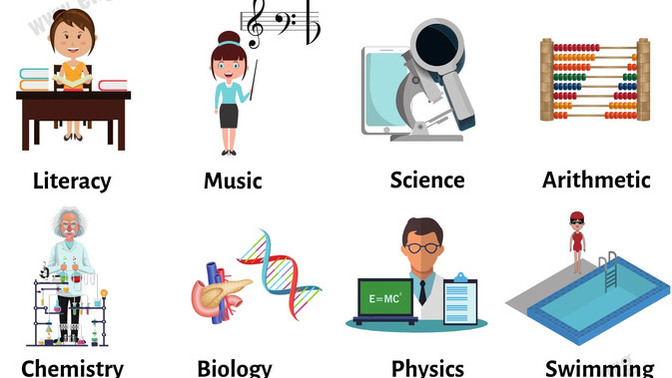 What were your favorite school subjects?