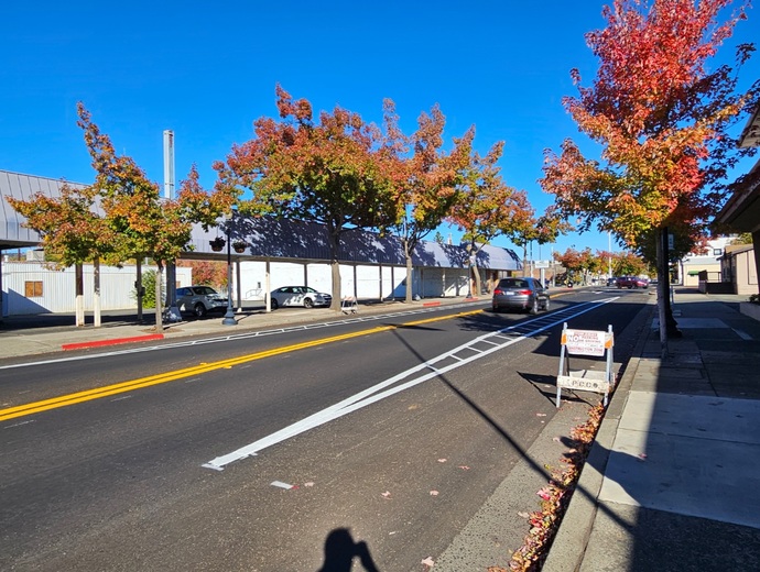 Does anyone know what these lines are that theyre painting all along our main street?