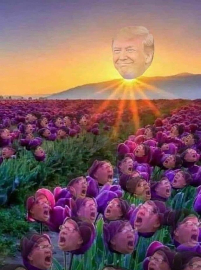 Trump's dance is very charismatic. Isn't it so?