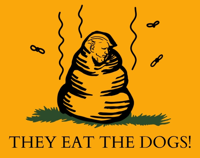 Poll: Which of these designs could become Trumplands flag?