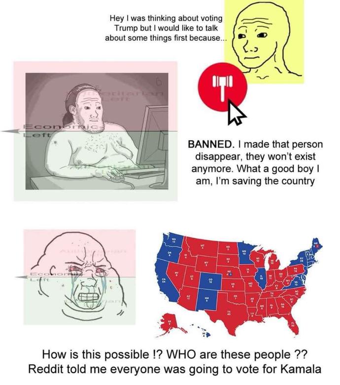 What happened to the "election fraud"?