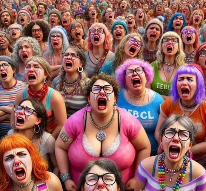 I understand Liberals are upset that they lost the election but I don’t understand why they are acting like sore losers?