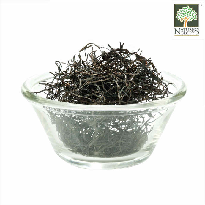 have you ever tried edible Seaweed/Algae, and whats your favorite kind?