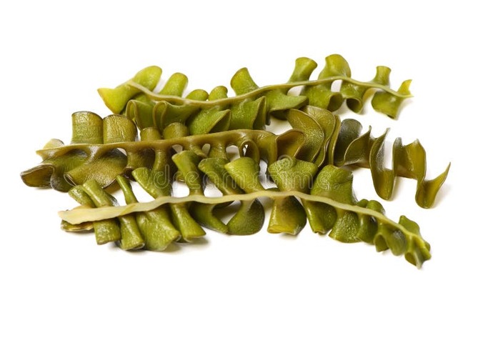 have you ever tried edible Seaweed/Algae, and whats your favorite kind?