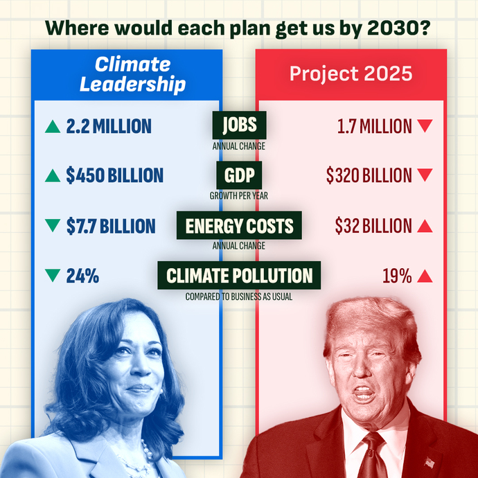 What is the Project 2025 truly about, and what does it consist of in regards to Trump being president again?