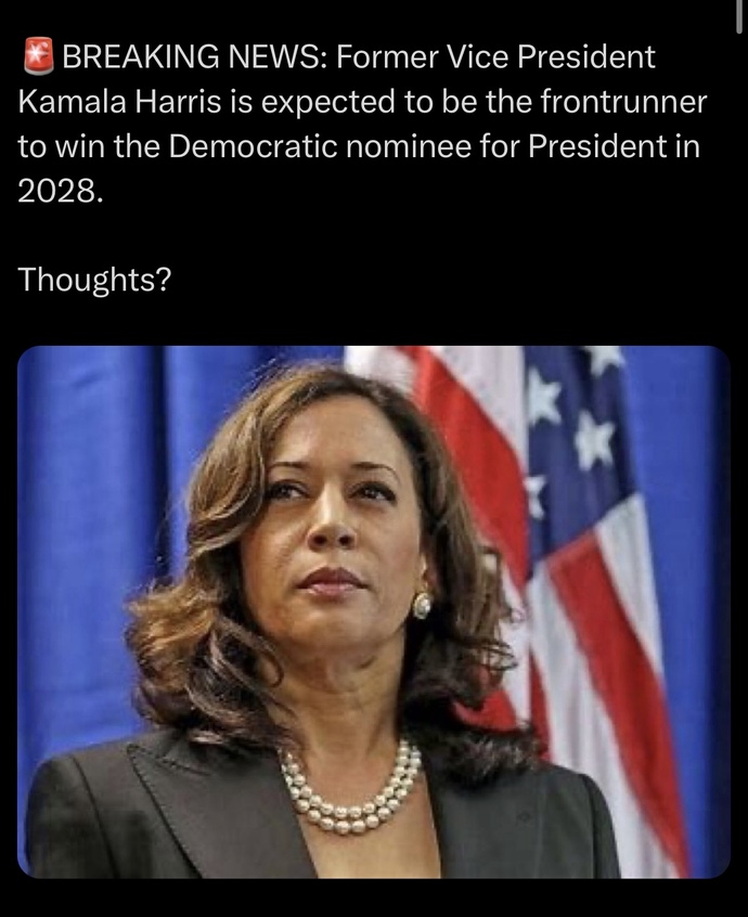 Should Kamala Harris run again in 2028?