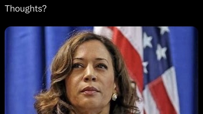 Should Kamala Harris run again in 2028?