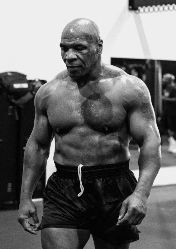 Who is going to win this Friday, Mike Tyson or Jake Paul?