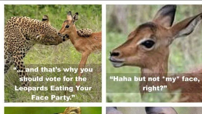 Would YOU vote for the 'Leopards Eating my Face' party?