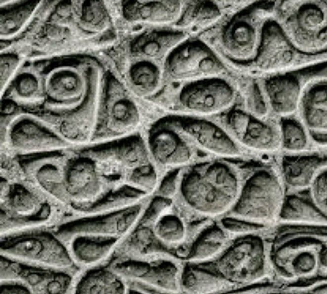 Which of these textures do you like the most or dislike?