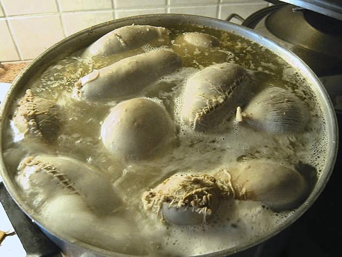 Whats the most disgusting food you would never eat?