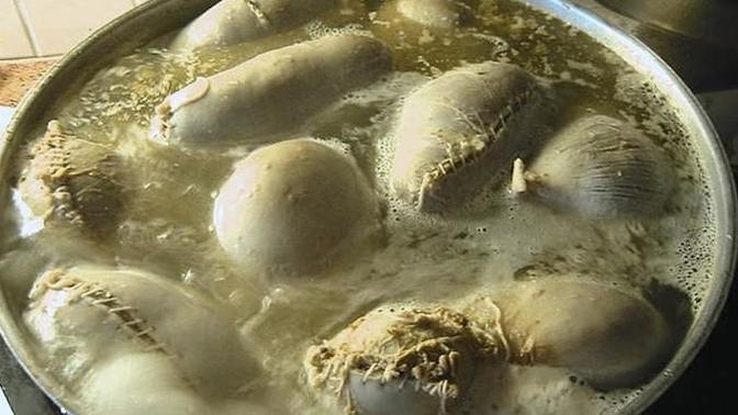 What's the most disgusting food you would never eat?