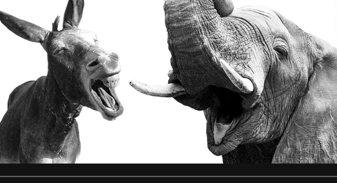 Why is bipartisanship so despised?