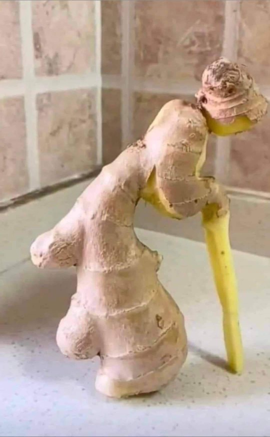 Do you ever feel ginger should you be less knobbly?