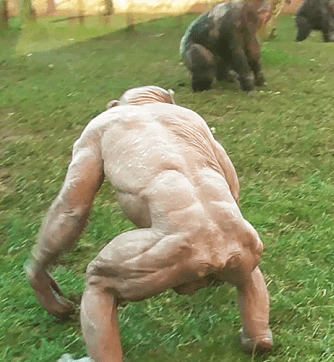 What are you thoughts on this hairless Chimp’s muscles?