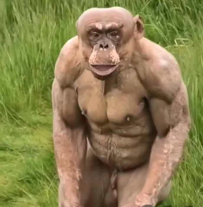 What are you thoughts on this hairless Chimp’s muscles?