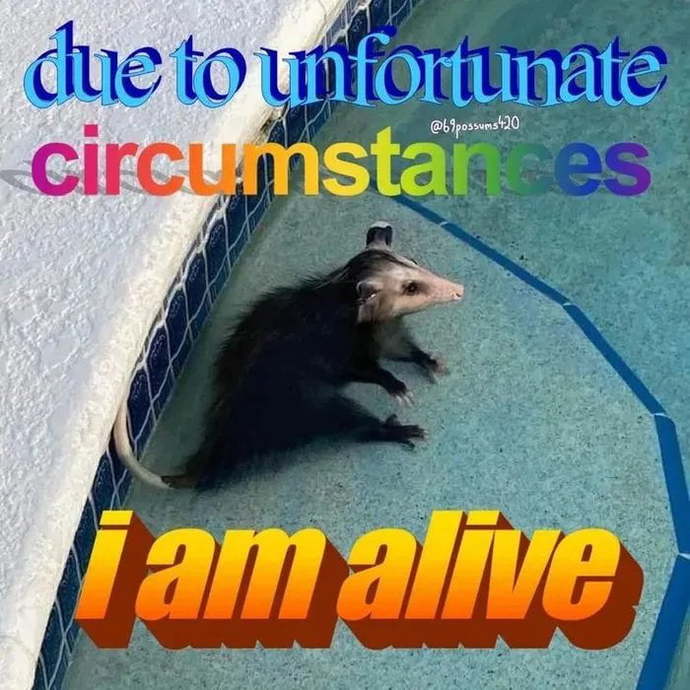 Can you post a meme which is relatable to you?