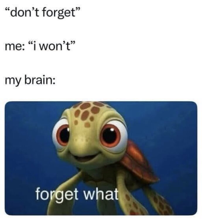 Can you post a meme which is relatable to you?